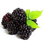 Blackberries