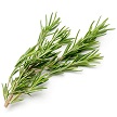 Fresh Rosemary