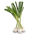 Salad Onions