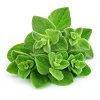 Oregano