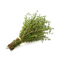 Thyme