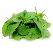 Baby Spinach