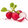 Radishes