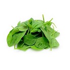 Baby Spinach