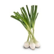 Salad Onions