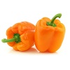 Orange Sweet Pepper