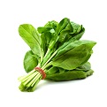 Spinach