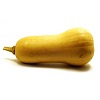 Yellow Squash