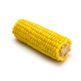 Corn On The Cob