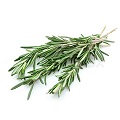 Fresh Rosemary