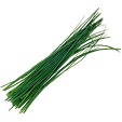 Chives
