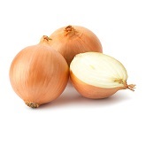 Onion