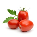 Plum Tomato