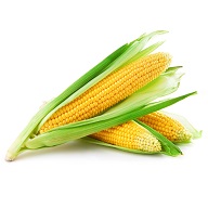 Corn