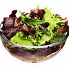 Salad Leaves