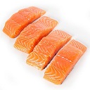 Salmon Fillets