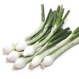 Green Onions