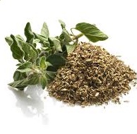Oregano