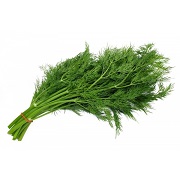 Fresh Dill