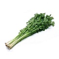 Chinese Celery