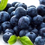 Blueberries
