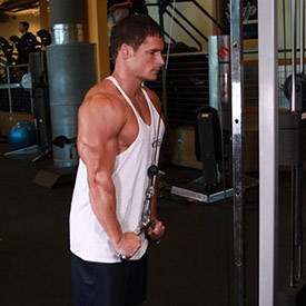 Triceps Pushdown - V-Bar Attachment
